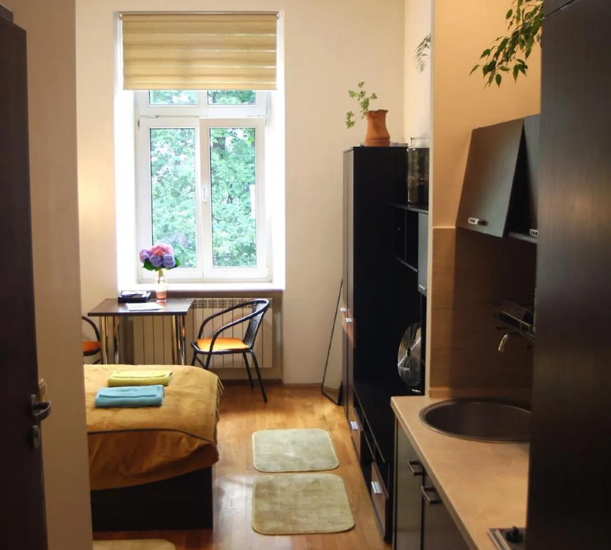 Anna, City Center Krakow Apartment