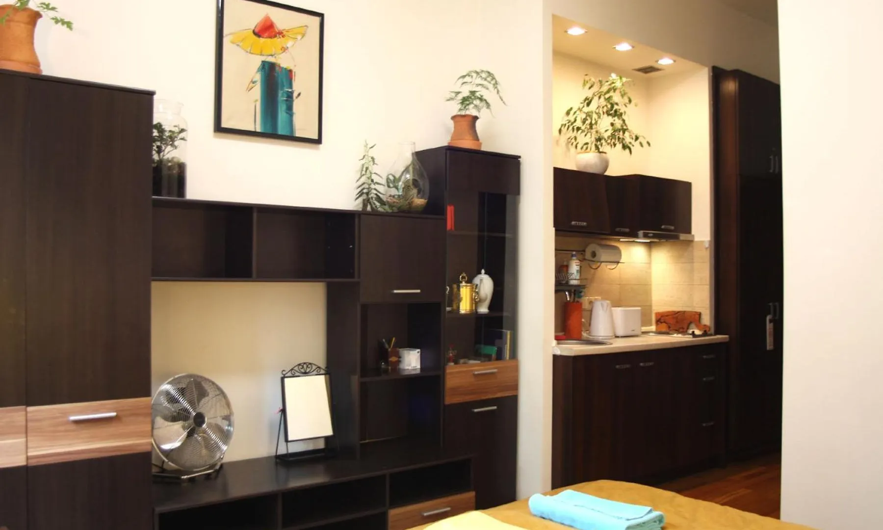 Apartment Anna, City Center Krakow Poland